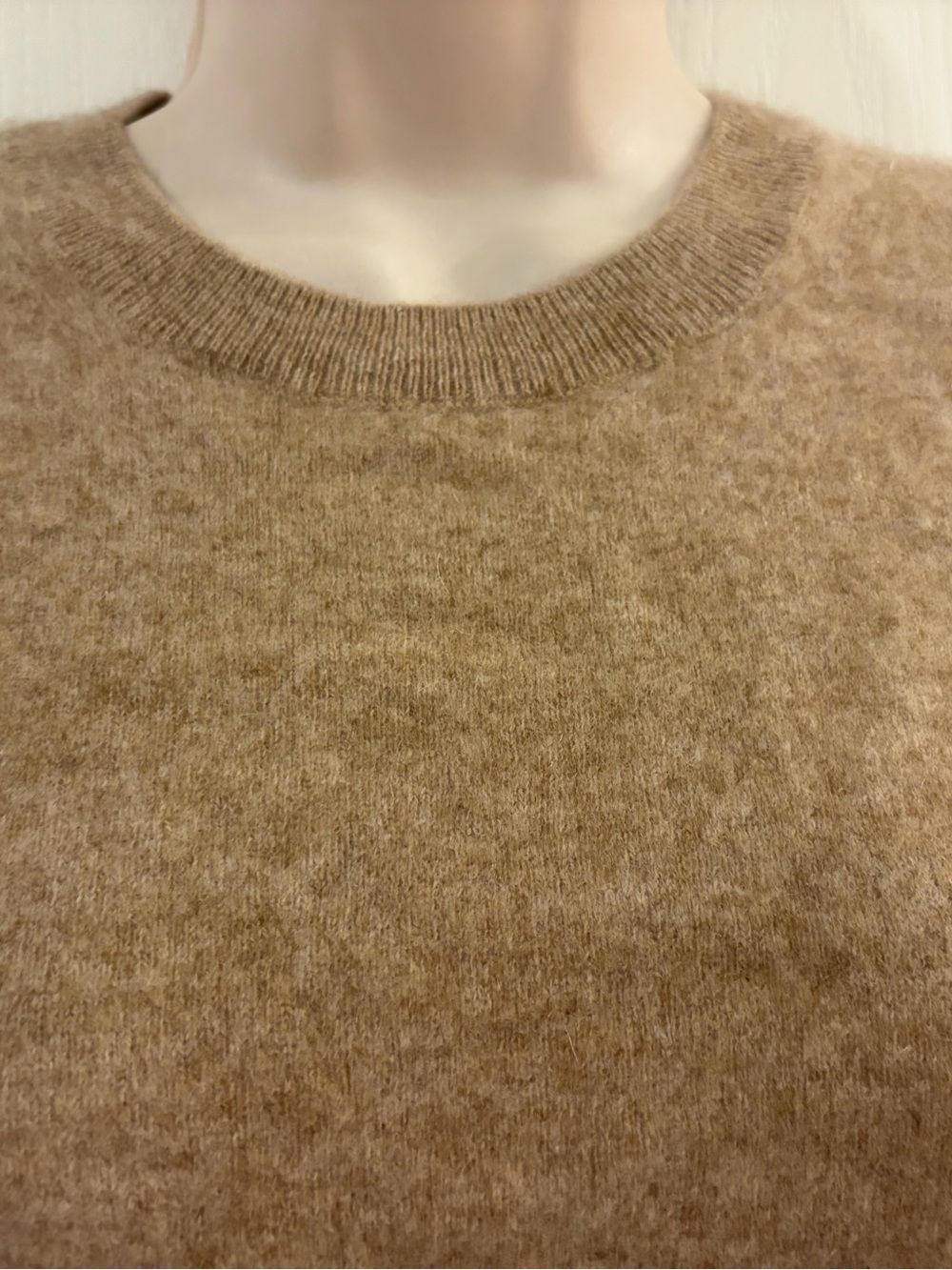 Quince Short-Sleeve Cashmere Sweater in Camel - Picture 4 of 5